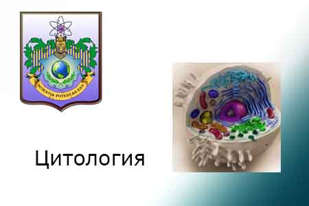 ЭУМК "Цитология" (специальность 1-02 04 01 Биология и Химия).