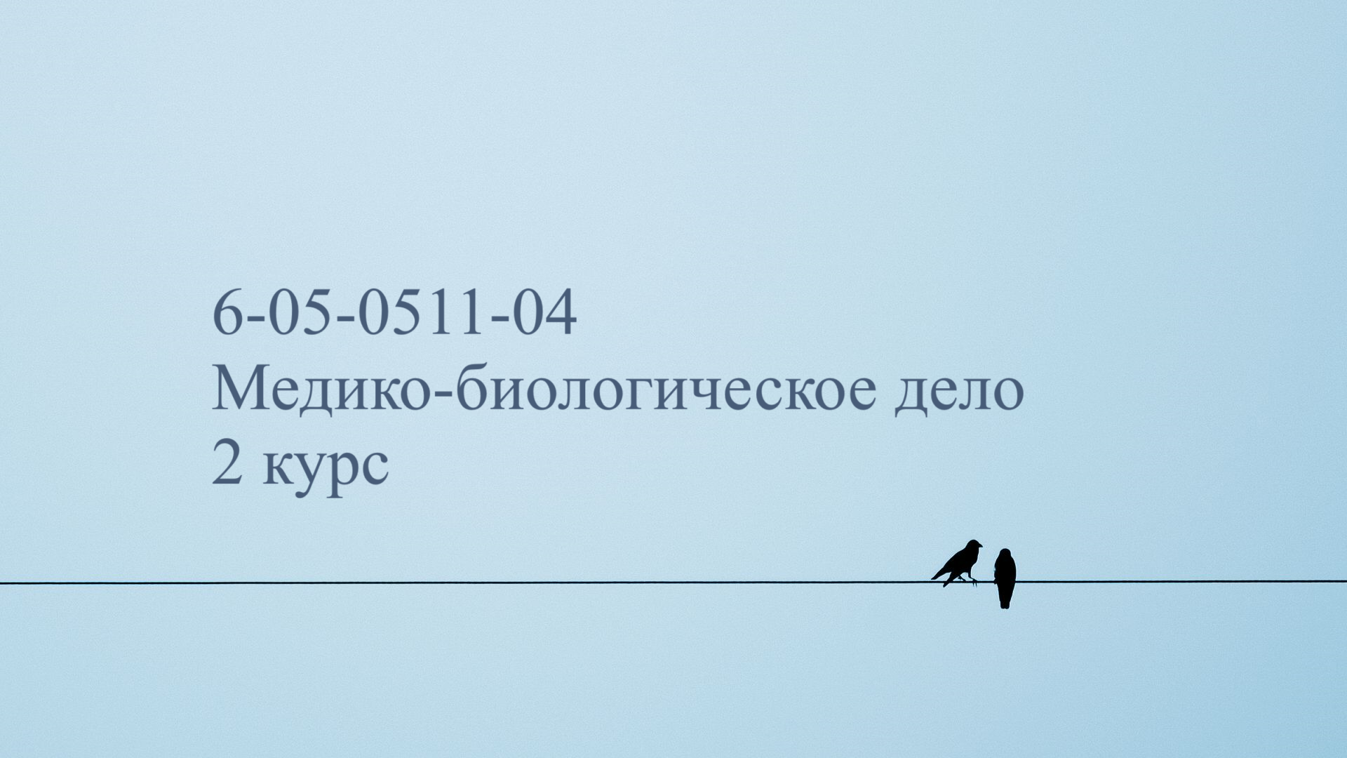 ЭУМК - Иностранный язык (профессиональное владение), МБД, 2 курс