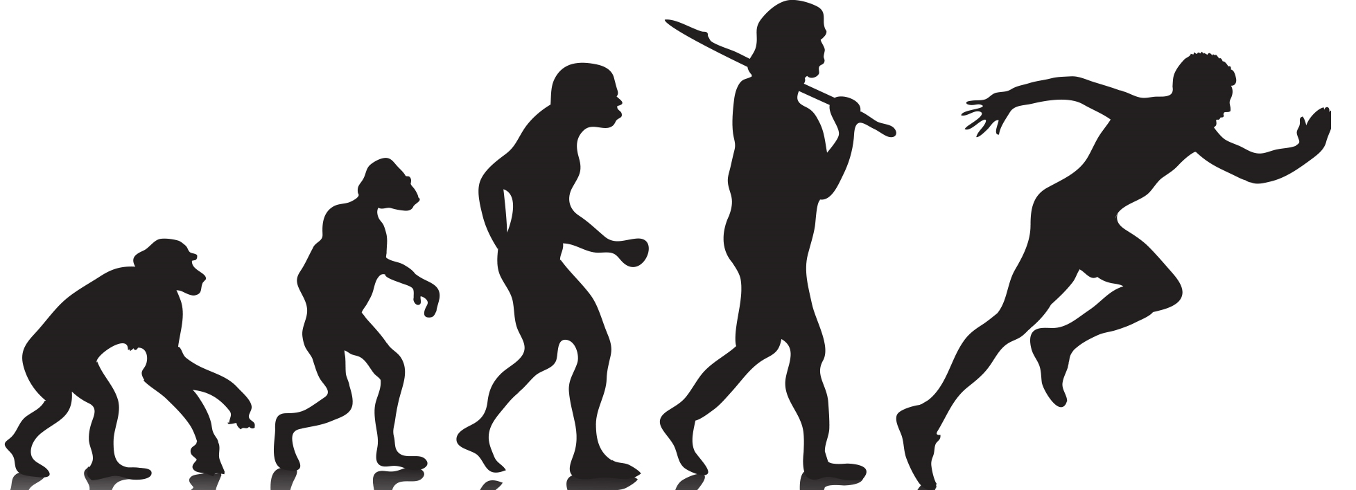 ЭУМК по учебной дисциплине "Спортивная антропология" для специальности 7-06-1012-01 «Физическая культура и спорт»